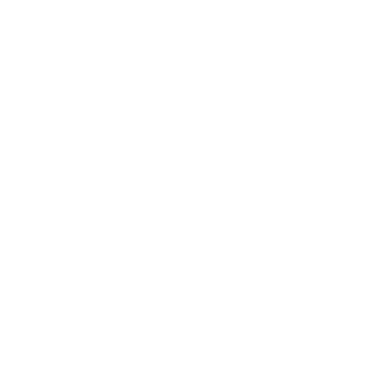 Shanib logo