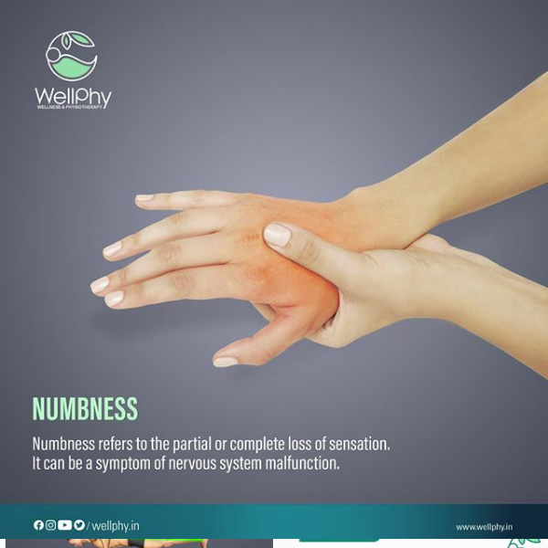 Screenshot_2020-02-19 WellPhy ( wellphy in) • Instagram photos and videos(1)